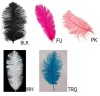15-17" Ostritch Feathers