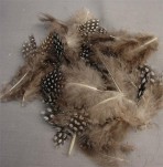 Guinea Feathers 3grams