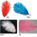 15"-17" Ostritch Feathers/1 Pc Per Pack