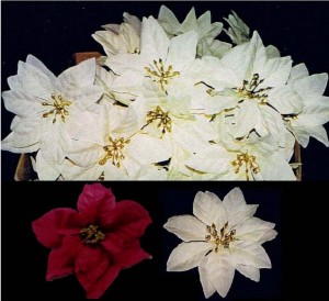 Poinsettia Picks with Gold Center (Min. 72/box at $0.30/each)