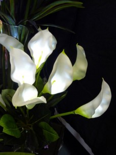 Calla Lily with LED Lights